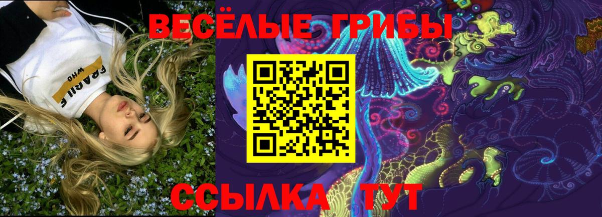 Псилоцибиновые грибы ЛСД Чита